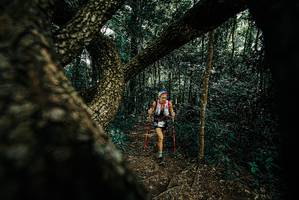 BIB: 
                            <button type="button" onclick="openModal(25666305)" class="btn btn-primary btn-sm float-right btn-popup" data-toggle="modal" data-target=".modal-high-quality">
                        <i class="fas fa-shopping-cart"></i> Add to Cart
                    </button>
                                            <button type="button" onclick="isThisMe(25666305, true)" class="btn btn-success btn-sm float-right btn-popup btn-isme hidden" data-toggle="tooltip" data-placement="bottom" title="นี่คือรูปของคุณใช่ไหม คลิกที่นี่เพื่อเอาเข้าอัลบั้ม">
                        <i class="fas fa-plus"></i> Add to album
                    </button>
                    <button type="button" onclick="isThisMe(25666305, false)" class="btn btn-warning btn-sm float-right btn-popup btn-isnotme hidden">
                        <i class="fas fa-ban"></i> Remove from album
                    </button>